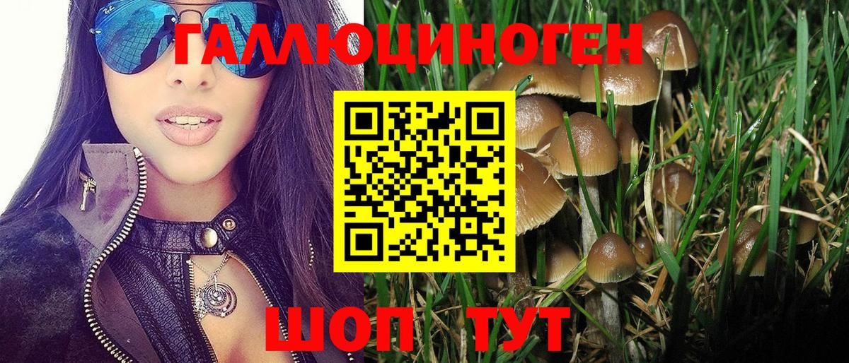 Десногорск  Вход с VPN  МАРИХУАНА  Меф кристаллы  ГАШИШ  МЕТ  COCAIN  APVP СК  