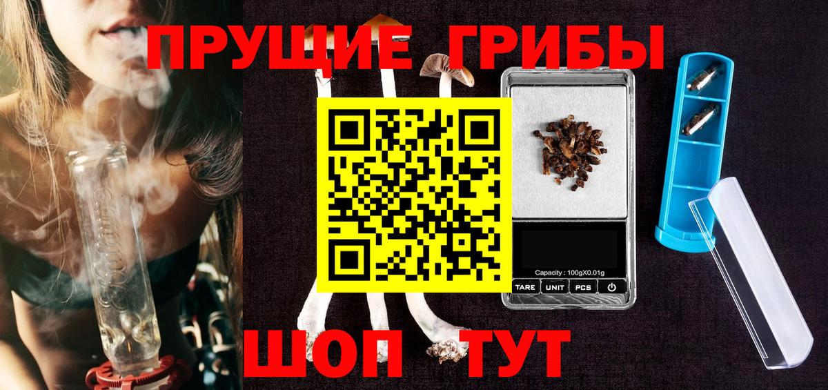 Десногорск  Псилоцибиновые грибы прущие грибы  Вход с VPN 